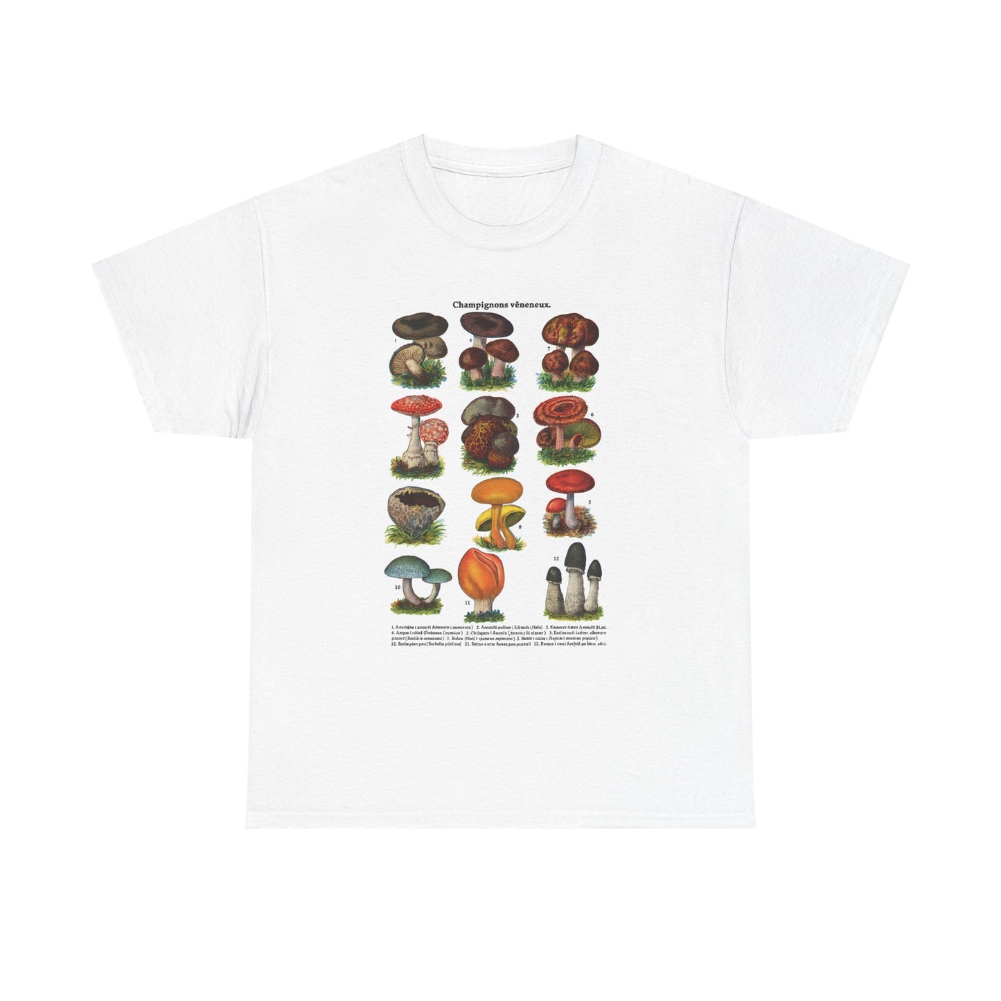 Mushroom Illustration Tee, Nature Lover Shirt, Fungi Themed Apparel, Funny Gift for Moms, Great for Outdoor Adventures, Science Lovers