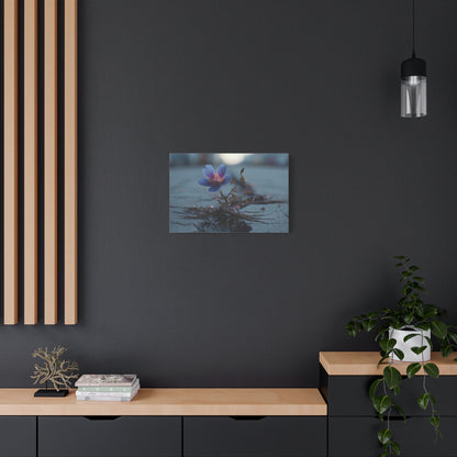 Defiance Through Concrete: Resilient Floral Macro, Urban Nature Photography--1aceswild.myshopify.com