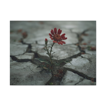 Resilience Blooms: Urban Nature Photography, Concrete Flower Metaphor--1aceswild.myshopify.com