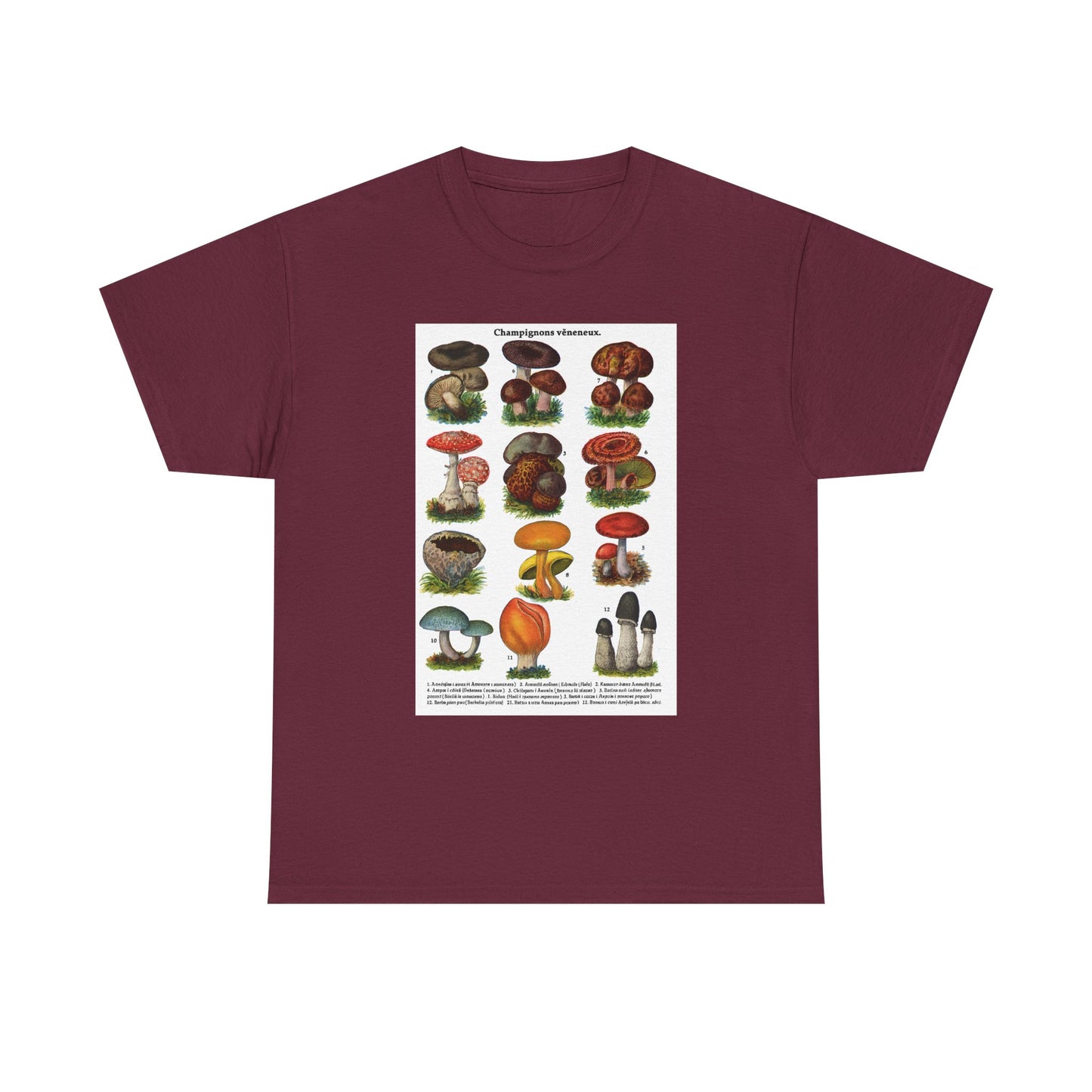 Mushroom Illustration Tee, Nature Lover Shirt, Fungi Themed Apparel, Funny Gift for Moms, Great for Outdoor Adventures, Science Lovers