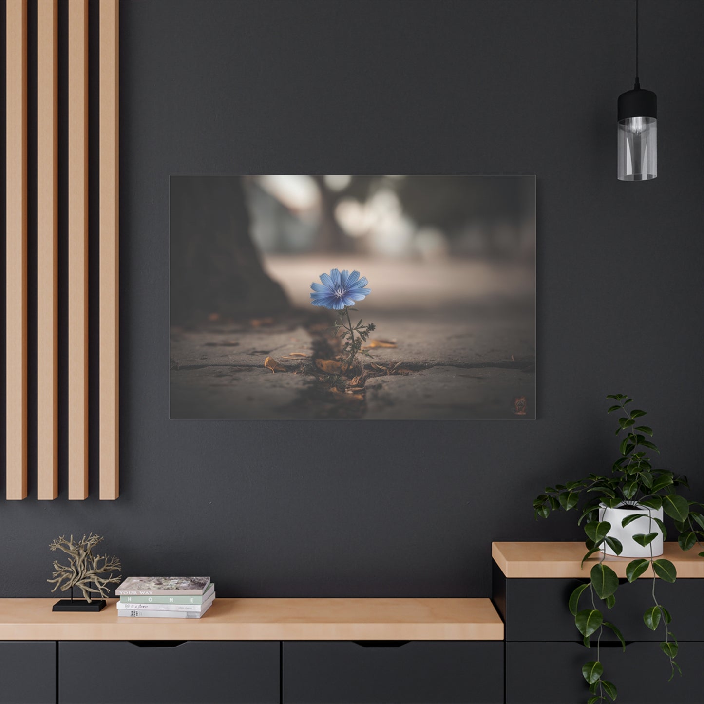 Resilience in Blue: Chicory Flower Emerging, Nature's Defiance Through Concrete--1aceswild.myshopify.com