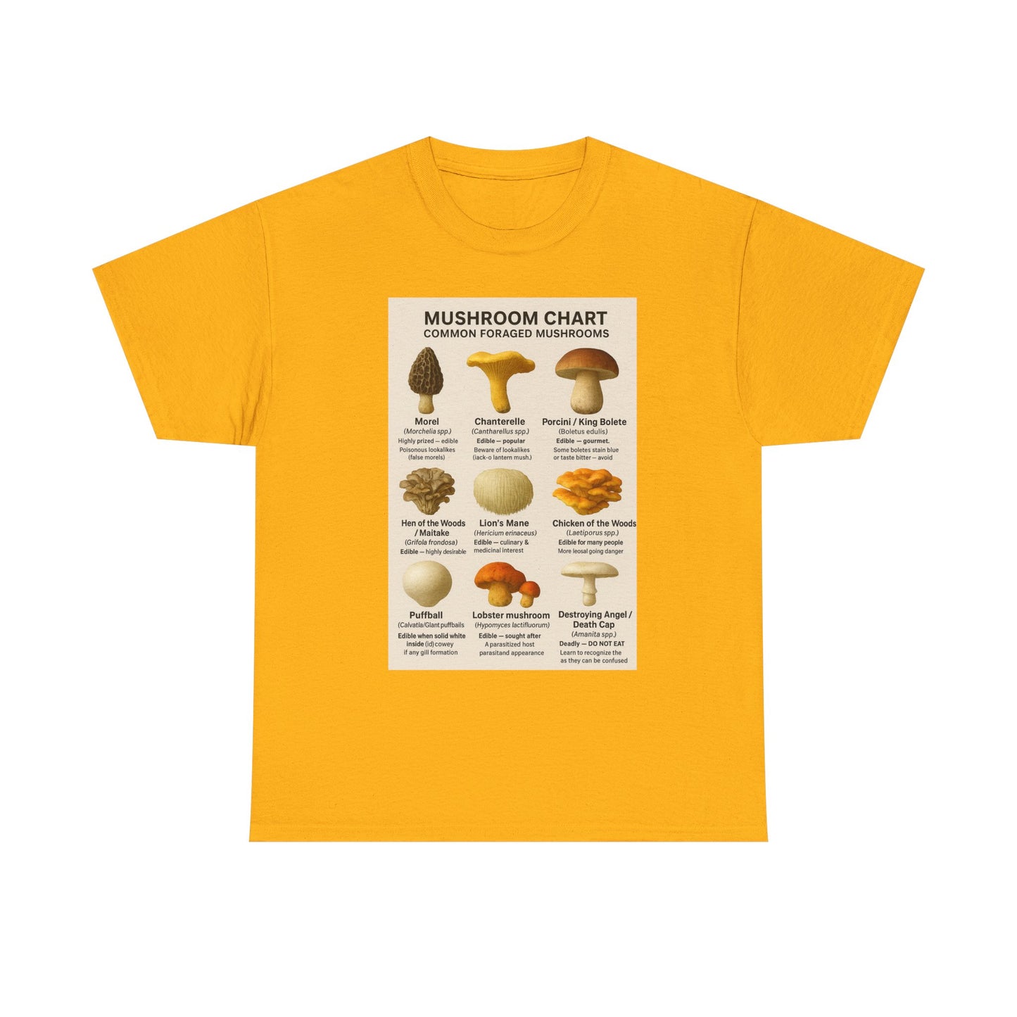 Mushroom Identification Chart Tee for Nature Lovers, Fungi Enthusiasts, Gift for Mycologists, Mushroom Chart T-Shirt, Unisex Cotton Top