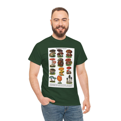Mushroom Illustration Tee,