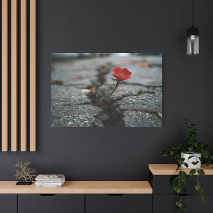 Defiance in Concrete: Resilient Bloom, Urban Nature Photography--1aceswild.myshopify.com