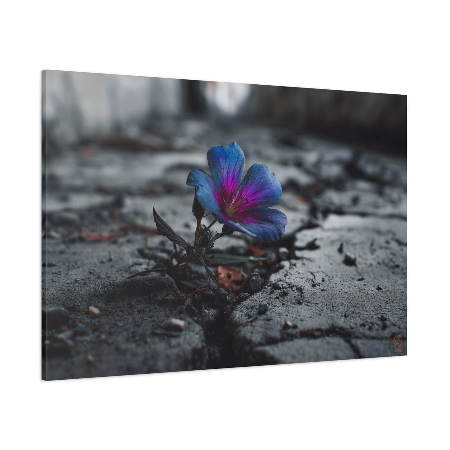 Resilient Bloom: Vibrant Macro Flower Photography, Landscape of Contrast--1aceswild.myshopify.com