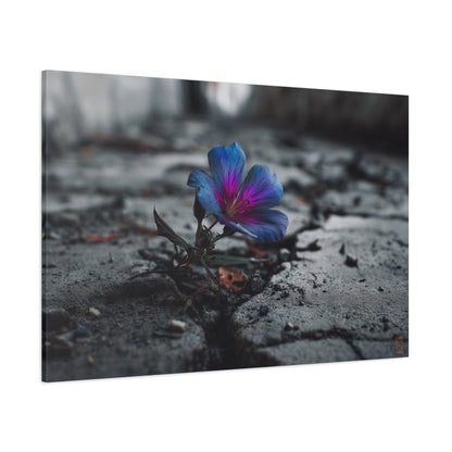 Resilient Bloom: Vibrant Macro Flower Photography, Landscape of Contrast--1aceswild.myshopify.com