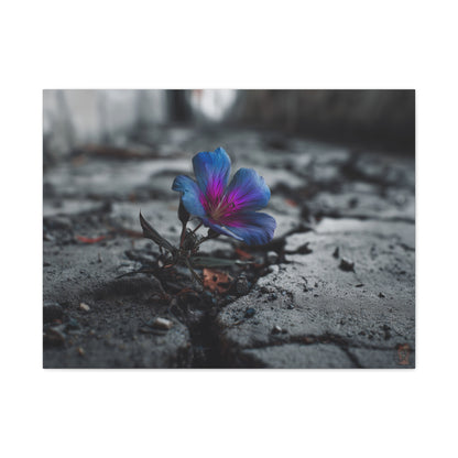 Resilient Bloom: Vibrant Macro Flower Photography, Landscape of Contrast--1aceswild.myshopify.com