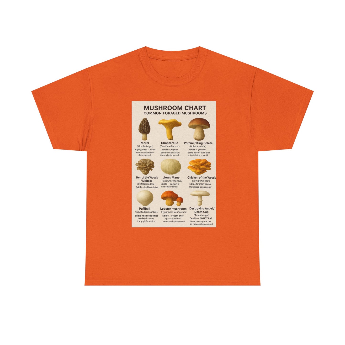 Mushroom Identification Chart Tee for Nature Lovers, Fungi Enthusiasts, Gift for Mycologists, Mushroom Chart T-Shirt, Unisex Cotton Top