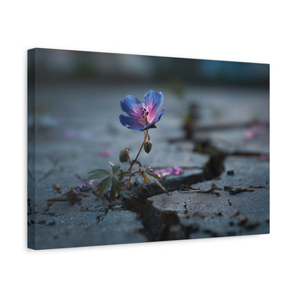 Resilient Bloom: Macro Geranium Photography, Nature's Endurance Landscape--1aceswild.myshopify.com