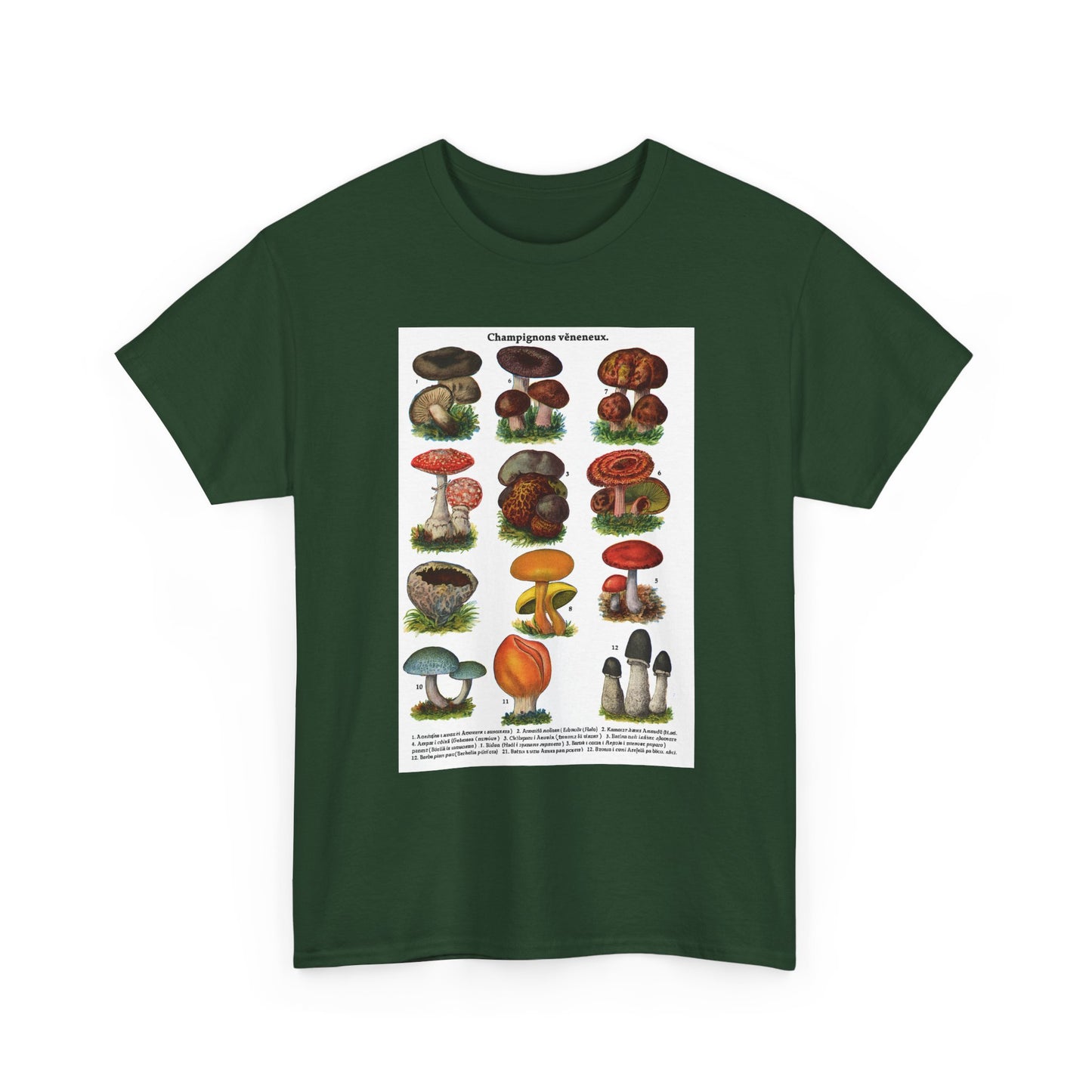 Mushroom Illustration Tee, Nature Lover Shirt, Fungi Themed Apparel, Funny Gift for Moms, Great for Outdoor Adventures, Science Lovers