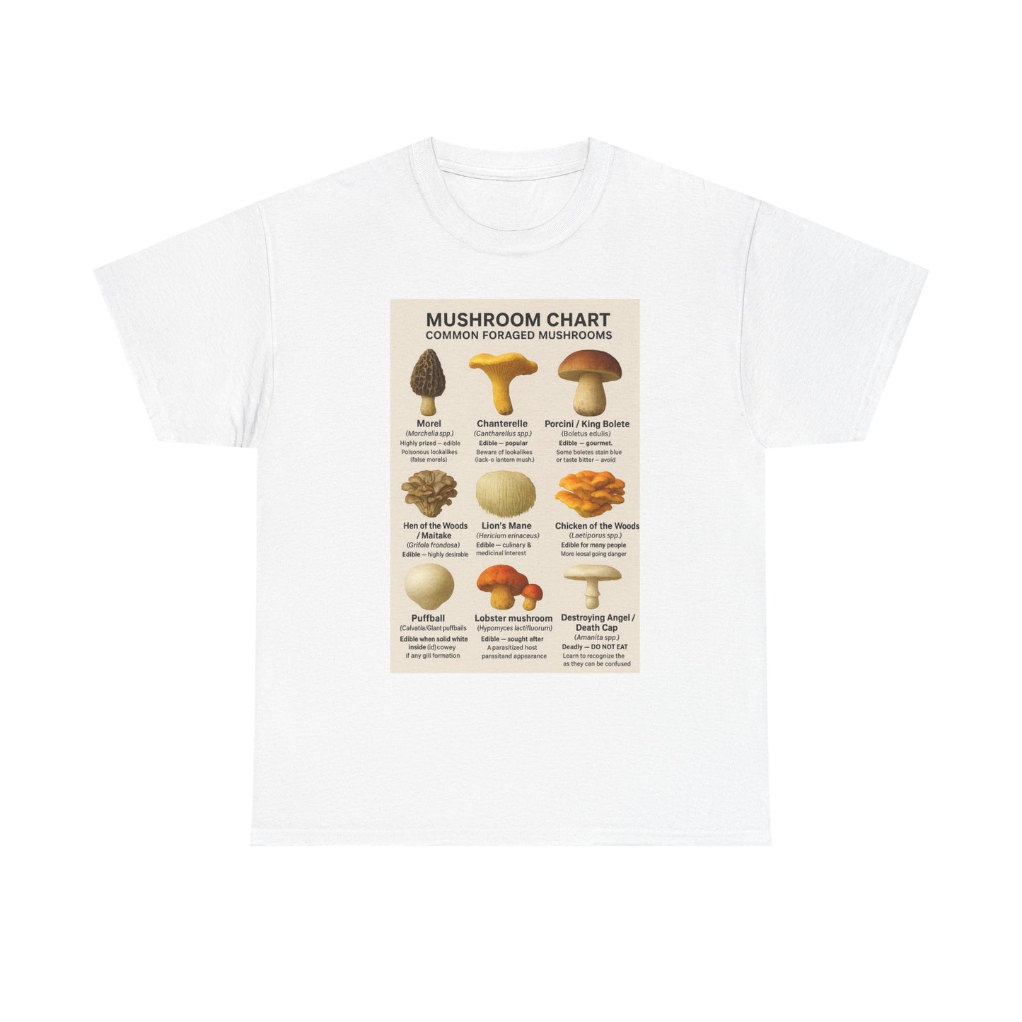 Mushroom Identification Chart Tee for Nature Lovers, Fungi Enthusiasts, Gift for Mycologists, Mushroom Chart T-Shirt, Unisex Cotton Top
