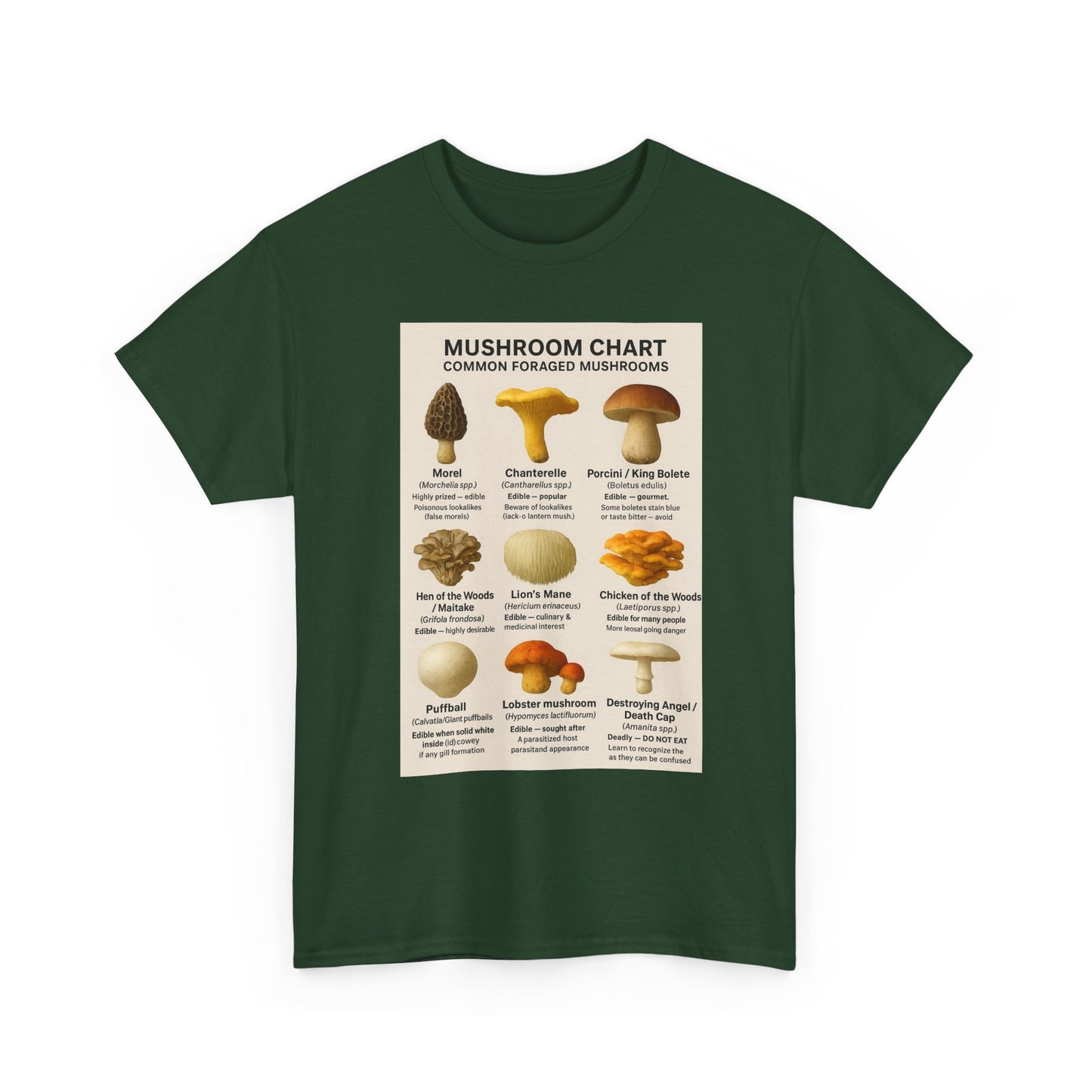 Mushroom Identification Chart Tee for Nature Lovers, Fungi Enthusiasts, Gift for Mycologists, Mushroom Chart T-Shirt, Unisex Cotton Top