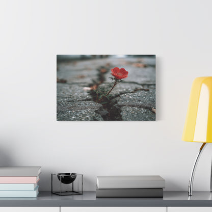 Defiance in Concrete: Resilient Bloom, Urban Nature Photography--1aceswild.myshopify.com