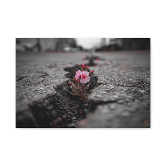 Resilient Bloom: Nature's Defiance, Black and White Urban Photography--1aceswild.myshopify.com