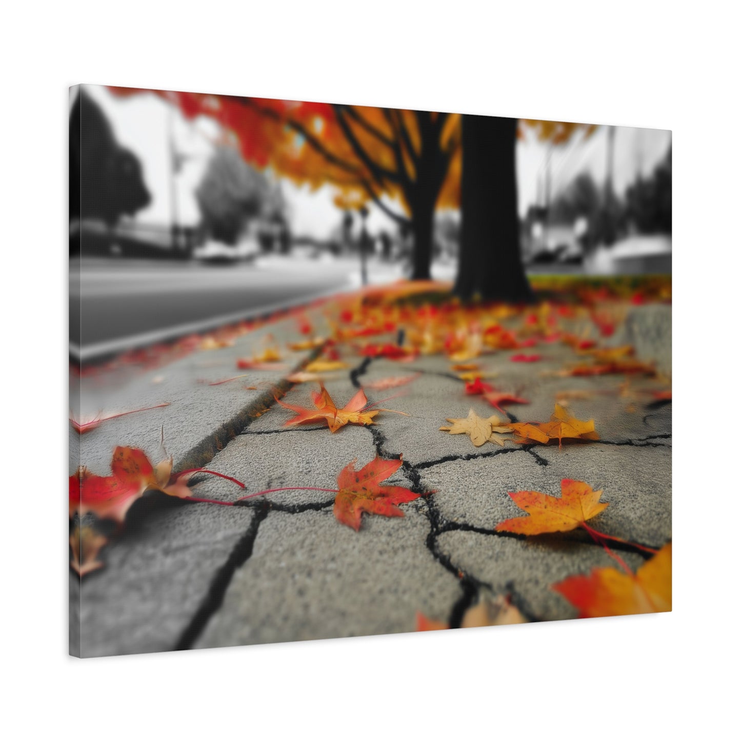 Autumn's Fragmented Canvas: Fallen Maple Leaf, Urban Decay, Seasonal Transition--1aceswild.myshopify.com