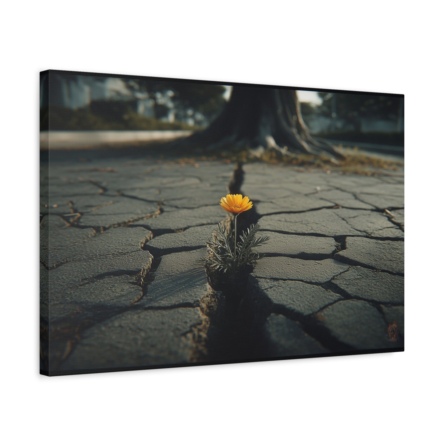 Defiant Bloom: Urban Resilience in Monochrome, Photographic Metaphor of Hope--1aceswild.myshopify.com