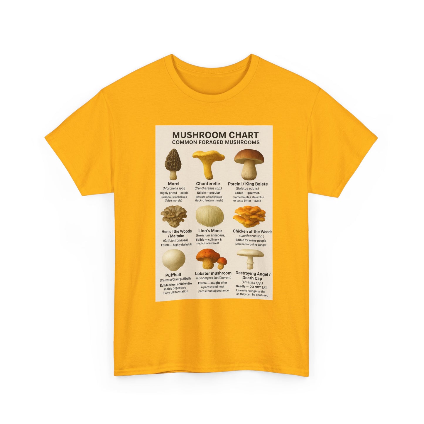 Mushroom Identification Chart Tee for Nature Lovers, Fungi Enthusiasts, Gift for Mycologists, Mushroom Chart T-Shirt, Unisex Cotton Top