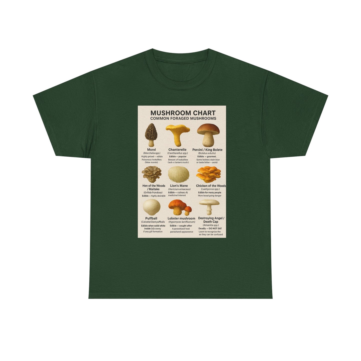 Mushroom Identification Chart Tee for Nature Lovers, Fungi Enthusiasts, Gift for Mycologists, Mushroom Chart T-Shirt, Unisex Cotton Top
