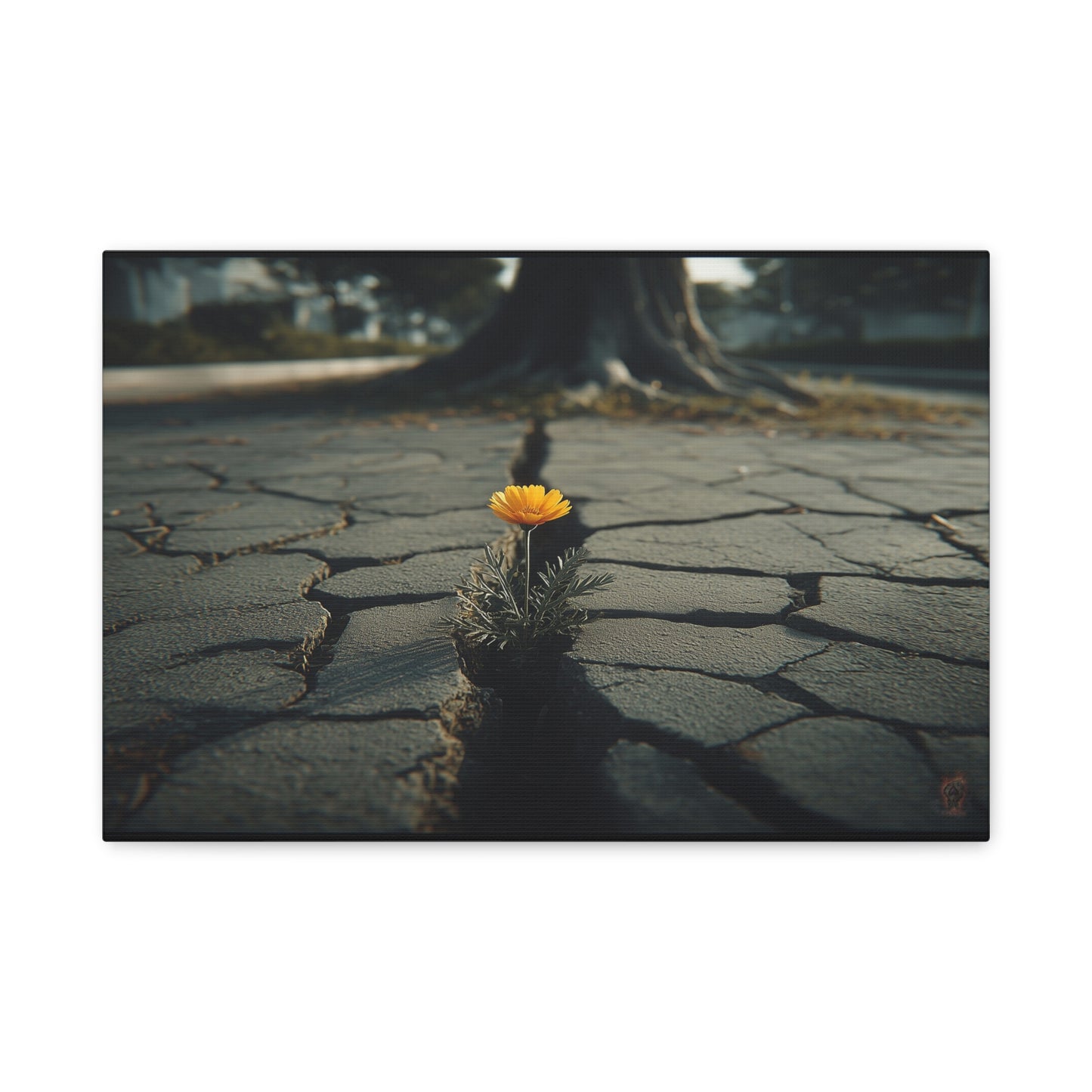 Defiant Bloom: Urban Resilience in Monochrome, Photographic Metaphor of Hope--1aceswild.myshopify.com