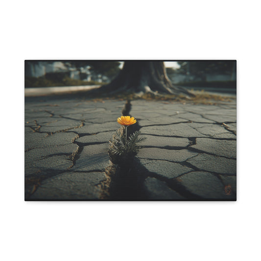 Defiant Bloom: Urban Resilience in Monochrome, Photographic Metaphor of Hope--1aceswild.myshopify.com