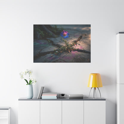 Resilience of Blue: Wildflower Through Concrete, Nature's Defiant Bloom--1aceswild.myshopify.com