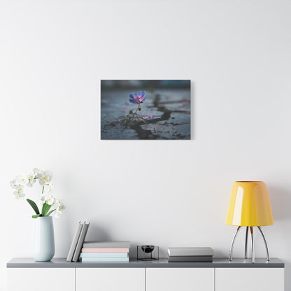Resilient Bloom: Macro Geranium Photography, Nature's Endurance Landscape--1aceswild.myshopify.com