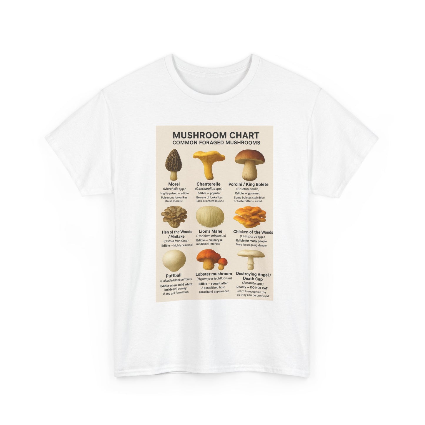 Mushroom Identification Chart Tee for Nature Lovers, Fungi Enthusiasts, Gift for Mycologists, Mushroom Chart T-Shirt, Unisex Cotton Top