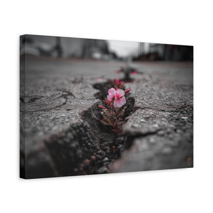 Resilient Bloom: Nature's Defiance, Black and White Urban Photography--1aceswild.myshopify.com