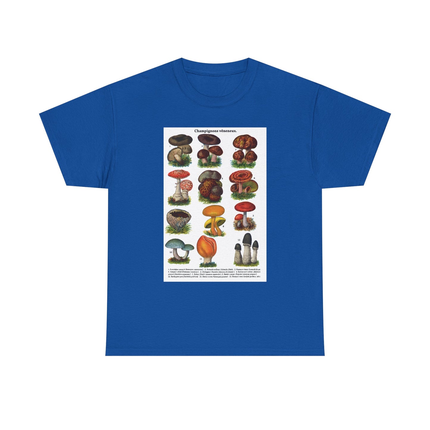 Mushroom Illustration Tee, Nature Lover Shirt, Fungi Themed Apparel, Funny Gift for Moms, Great for Outdoor Adventures, Science Lovers