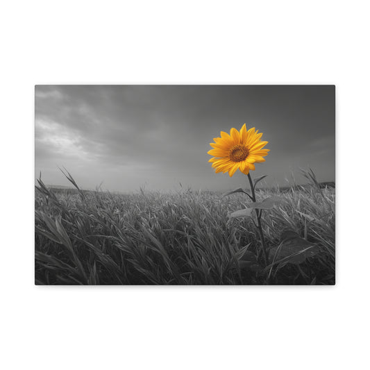 Alone In The Sun --www.14aceswild.com