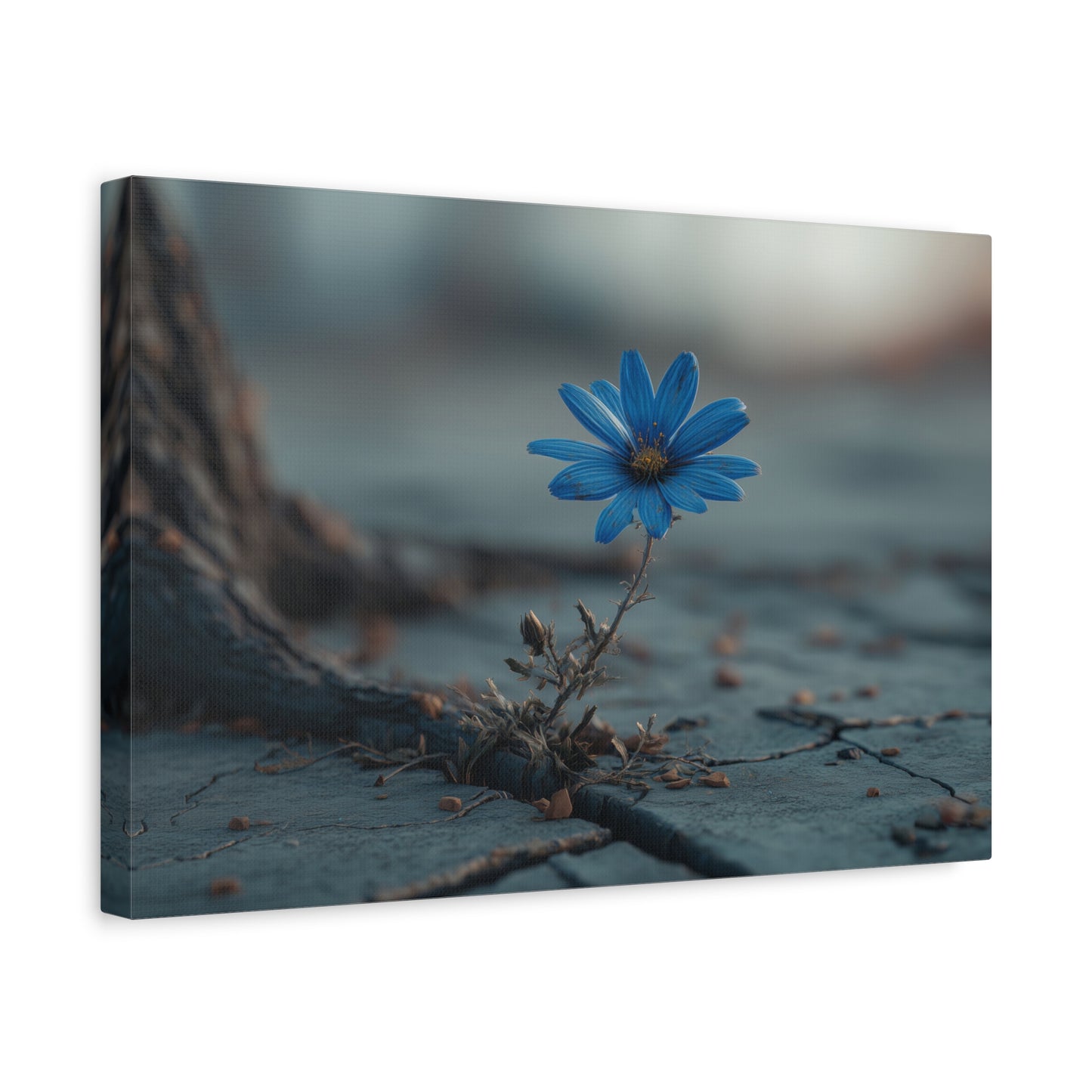 Defiant Bloom: Resilience in Gray, Hope from Stone, Nature's Triumph--1aceswild.myshopify.com