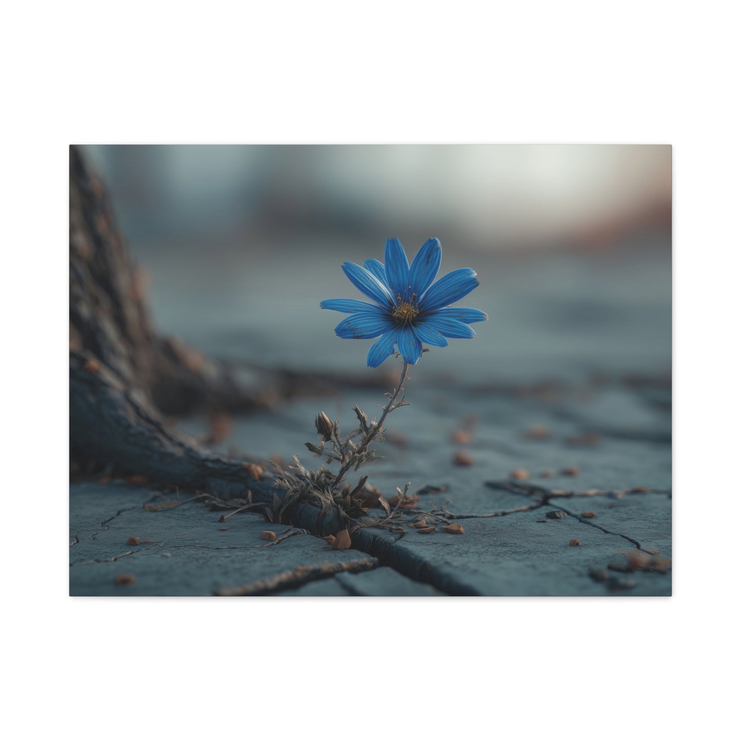 Defiant Bloom: Resilience in Gray, Hope from Stone, Nature's Triumph--1aceswild.myshopify.com