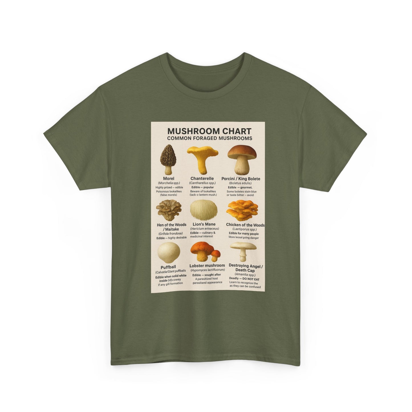Mushroom Identification Chart Tee for Nature Lovers, Fungi Enthusiasts, Gift for Mycologists, Mushroom Chart T-Shirt, Unisex Cotton Top