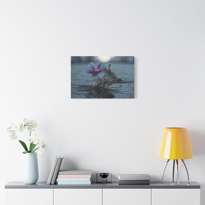Resilience Blooms: Defiant Macro Flower Photography, Urban Botanical Inspiration--1aceswild.myshopify.com