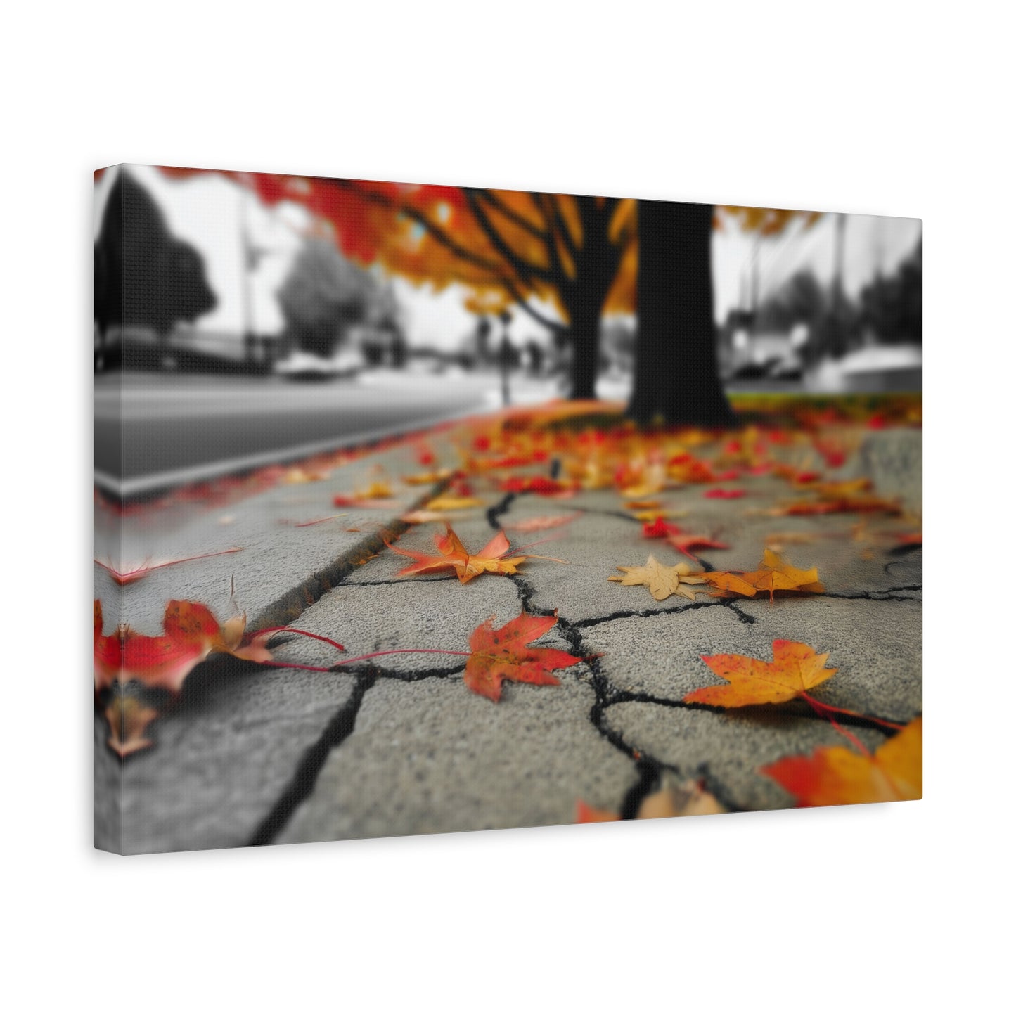 Autumn's Fragmented Canvas: Fallen Maple Leaf, Urban Decay, Seasonal Transition--1aceswild.myshopify.com