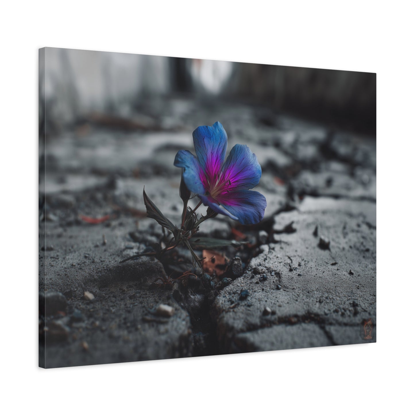 Resilient Bloom: Vibrant Macro Flower Photography, Landscape of Contrast--1aceswild.myshopify.com