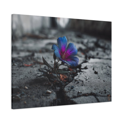 Resilient Bloom: Vibrant Macro Flower Photography, Landscape of Contrast--1aceswild.myshopify.com