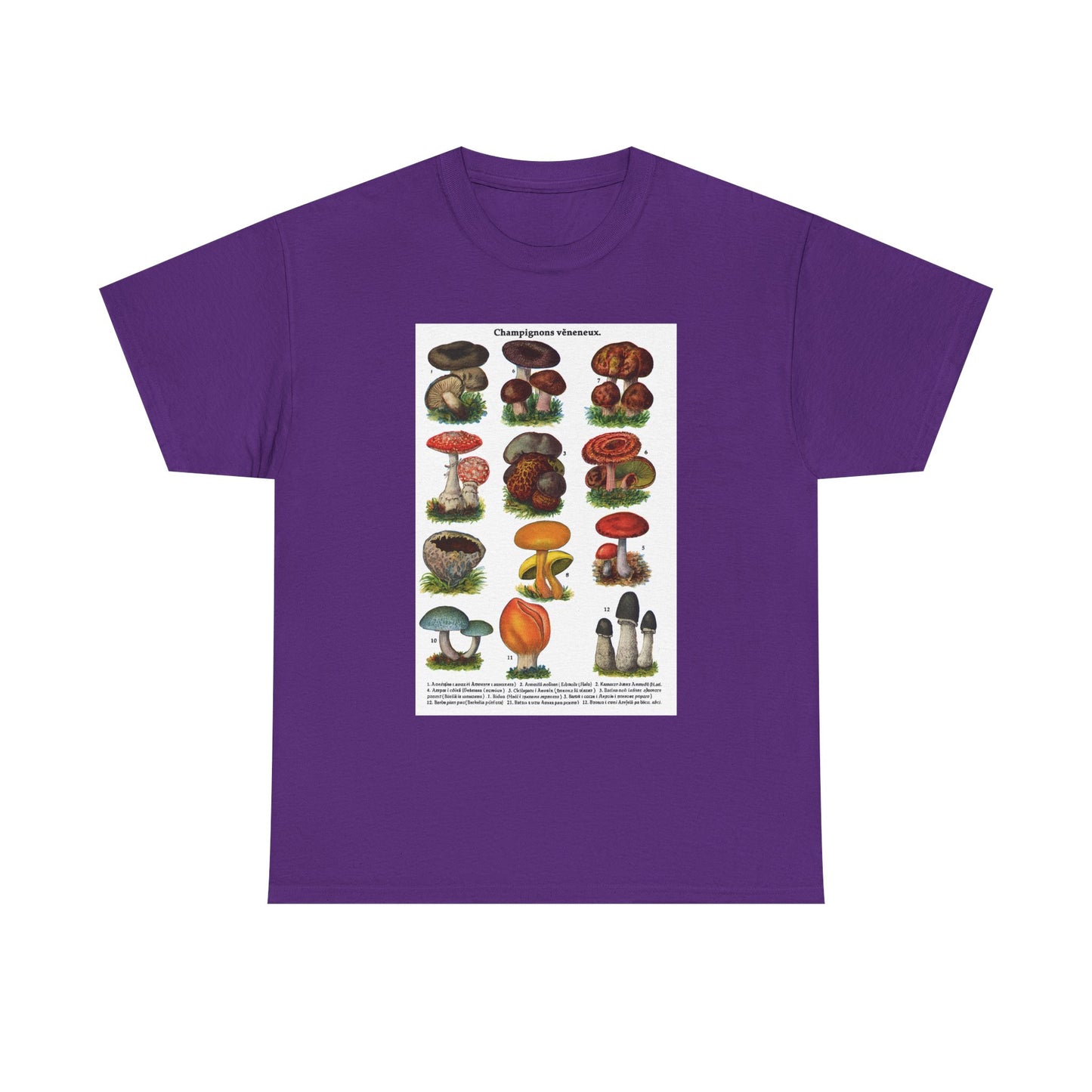 Mushroom Illustration Tee, Nature Lover Shirt, Fungi Themed Apparel, Funny Gift for Moms, Great for Outdoor Adventures, Science Lovers