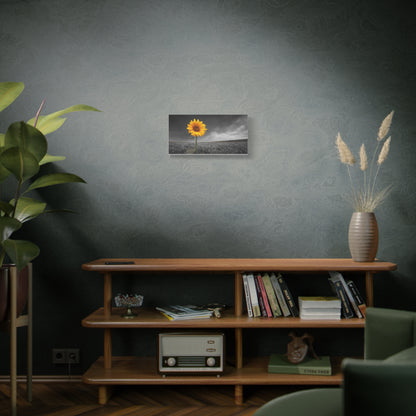 Bathing In The Sun - Vibrant Sunflower Canvas Art, Home Decor, Wall Art, Nature Photography.