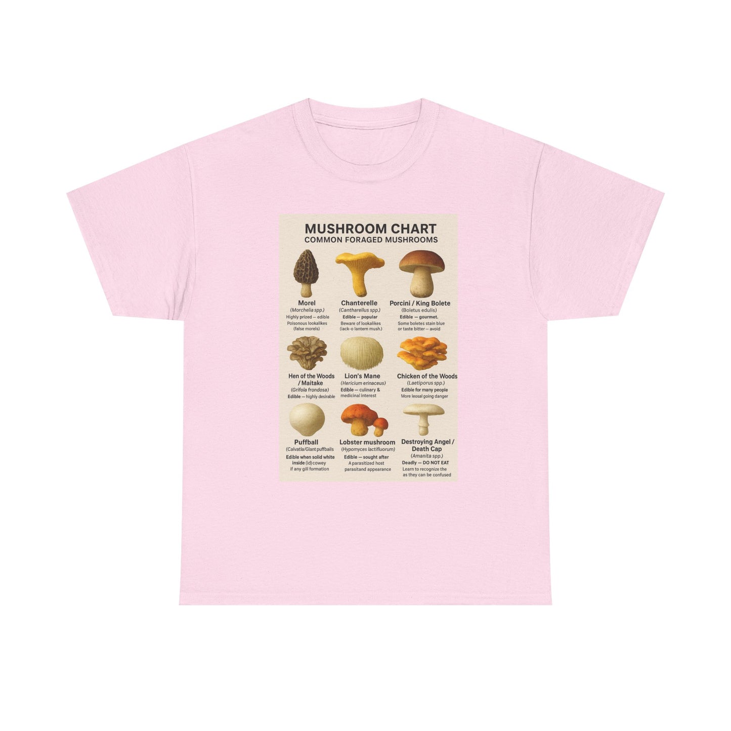 Mushroom Identification Chart Tee for Nature Lovers, Fungi Enthusiasts, Gift for Mycologists, Mushroom Chart T-Shirt, Unisex Cotton Top