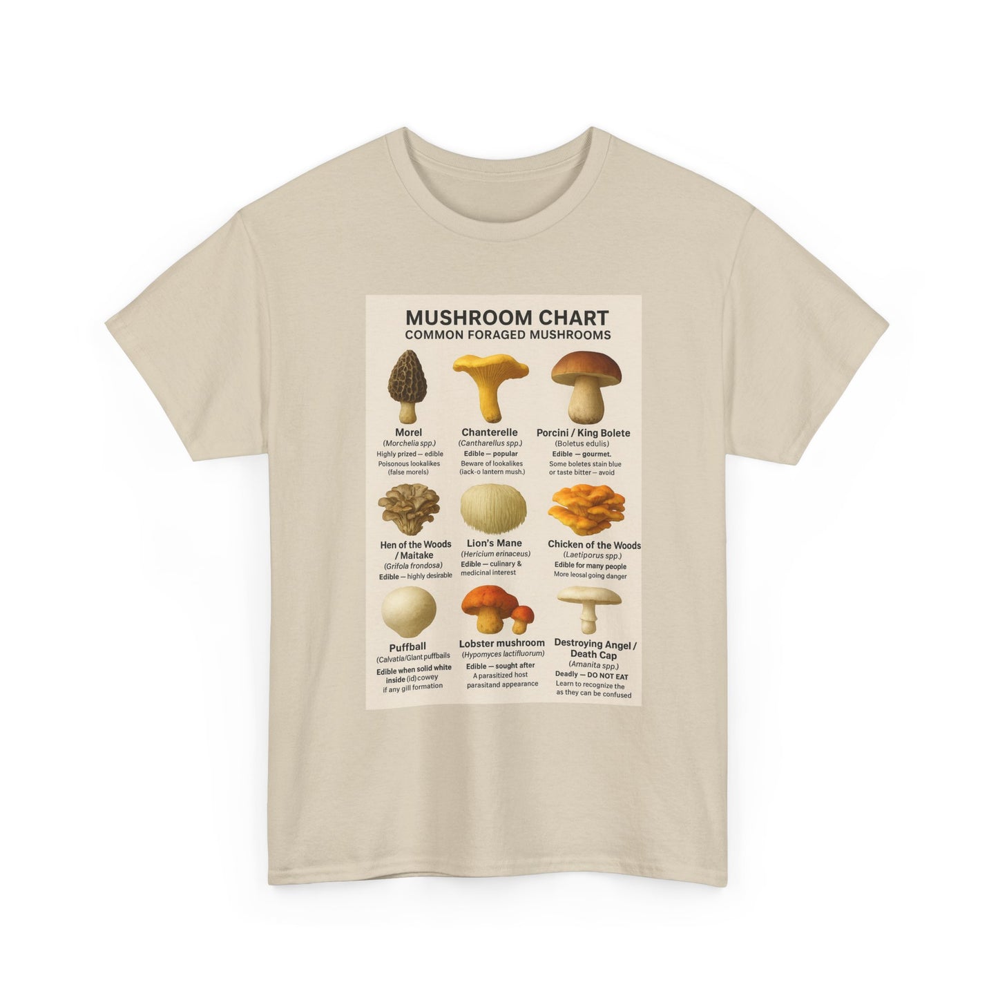Mushroom Identification Chart Tee for Nature Lovers, Fungi Enthusiasts, Gift for Mycologists, Mushroom Chart T-Shirt, Unisex Cotton Top