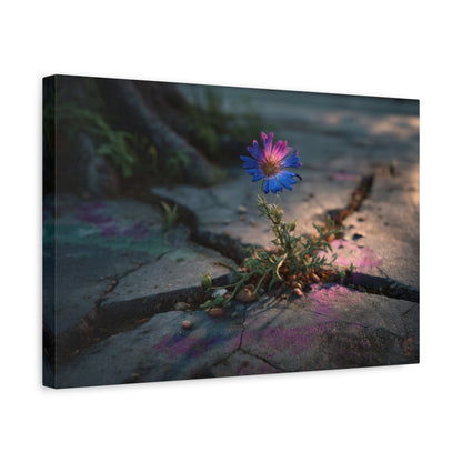 Resilience of Blue: Wildflower Through Concrete, Nature's Defiant Bloom--1aceswild.myshopify.com