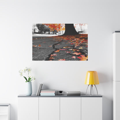 Autumn's Requiem: Fallen Maple Fragments, Grayscale Urban Decay--1aceswild.myshopify.com