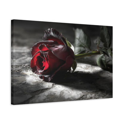 Crimson Solitude: Velveteen Rose in Monochrome, Dramatic Floral Photography--1aceswild.myshopify.com