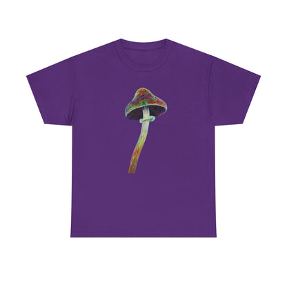 Colorful Psychedelic Mushroom2 -
