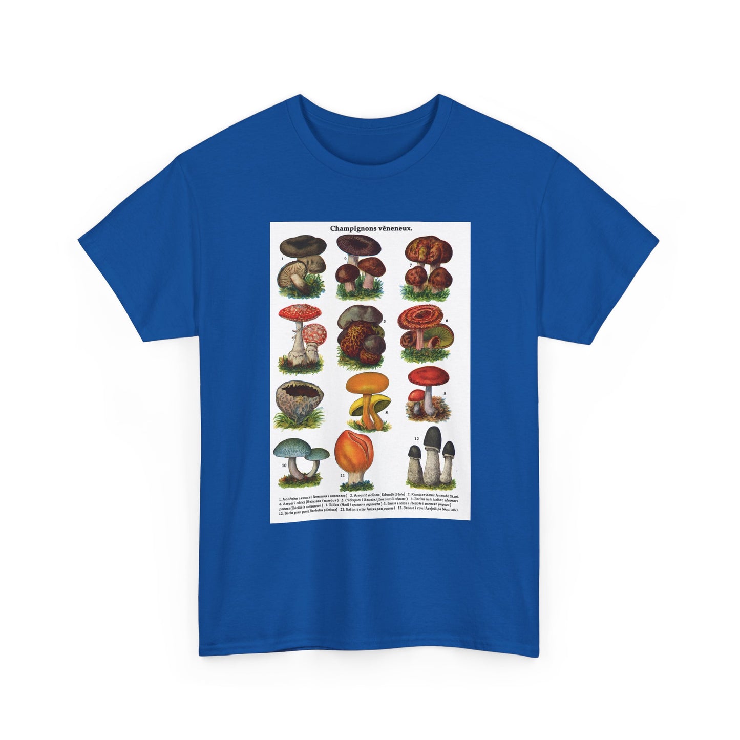 Mushroom Illustration Tee, Nature Lover Shirt, Fungi Themed Apparel, Funny Gift for Moms, Great for Outdoor Adventures, Science Lovers