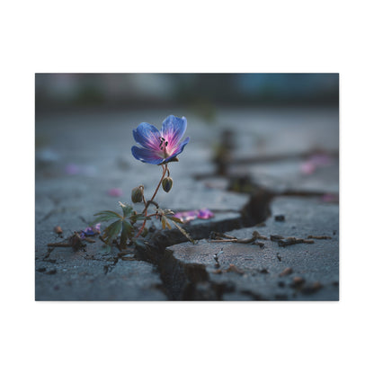 Resilient Bloom: Macro Geranium Photography, Nature's Endurance Landscape--1aceswild.myshopify.com