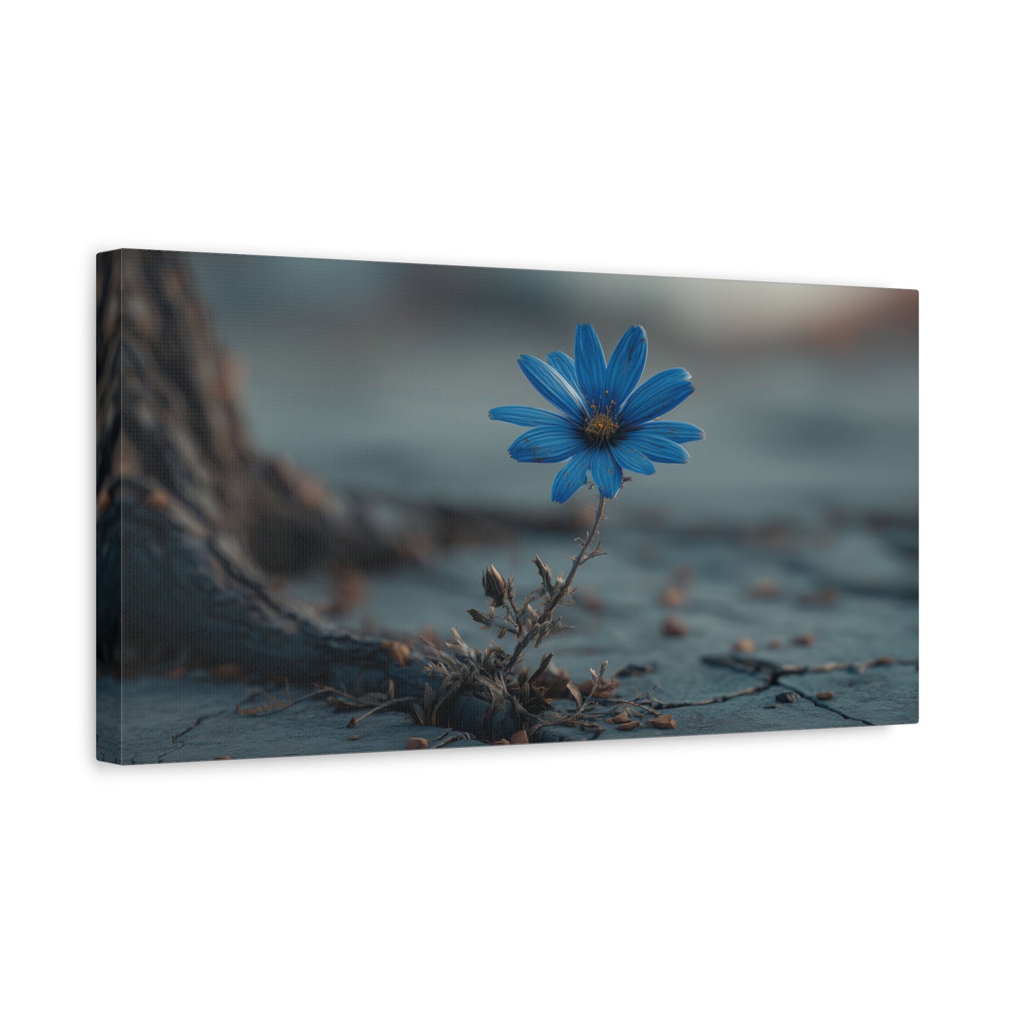 Defiant Bloom: Resilience in Gray, Hope from Stone, Nature's Triumph--1aceswild.myshopify.com