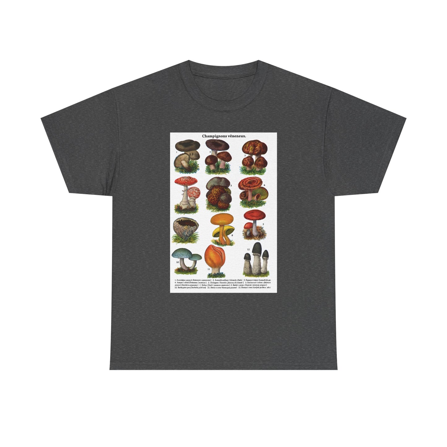 Mushroom Illustration Tee, Nature Lover Shirt, Fungi Themed Apparel, Funny Gift for Moms, Great for Outdoor Adventures, Science Lovers