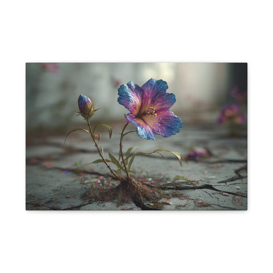 Resilient Bloom: Macro Botanical Photography, Vibrant Hibiscus Emergence--www.14acewild.com